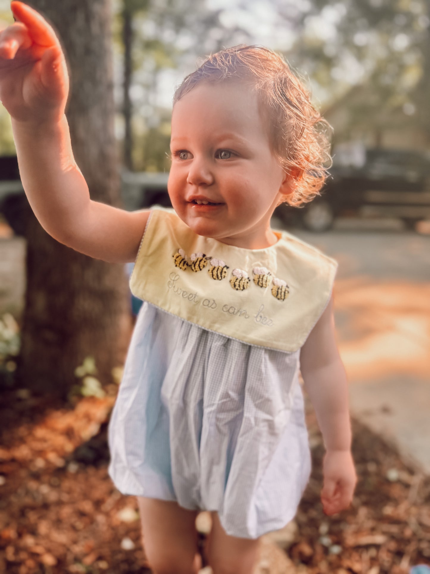 Sweet As Can Bee: Boy Bubble